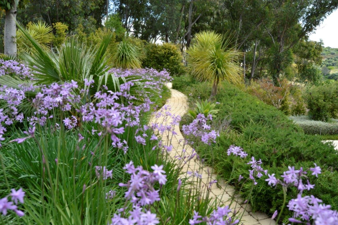 Diseño y construcción de jardines: Servicios de Sotojardín Diseño y construcción de jardines: Servicios de Sotojardín