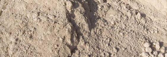 arena blanca arena blanca