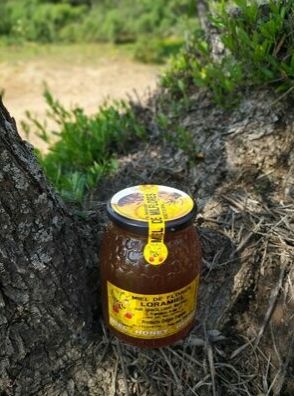 Miel de abejas en Sevilla
