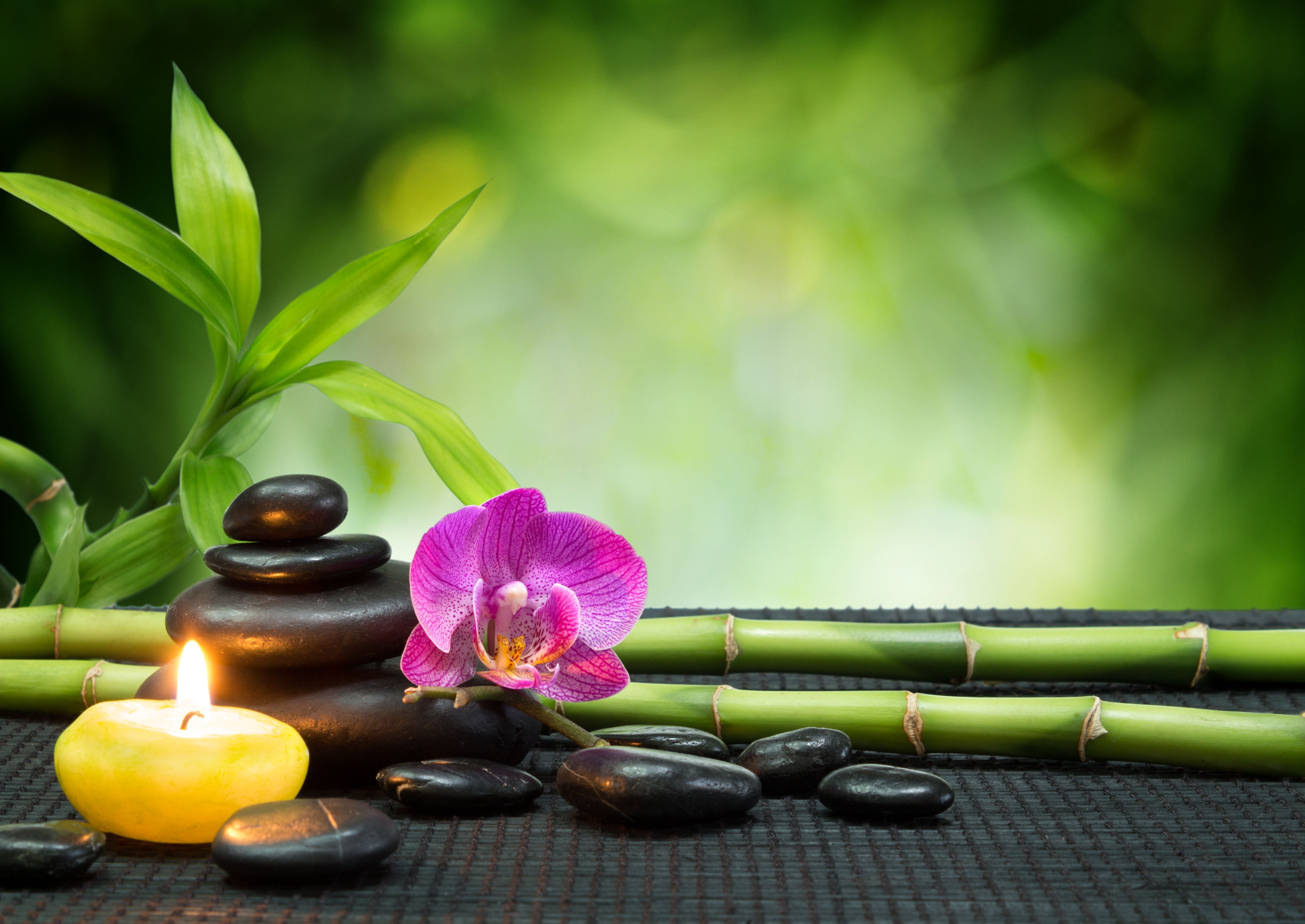 Naturopatía: Servicios de Farmàcia Biel Rull Naturopatía: Servicios de Farmàcia Biel Rull