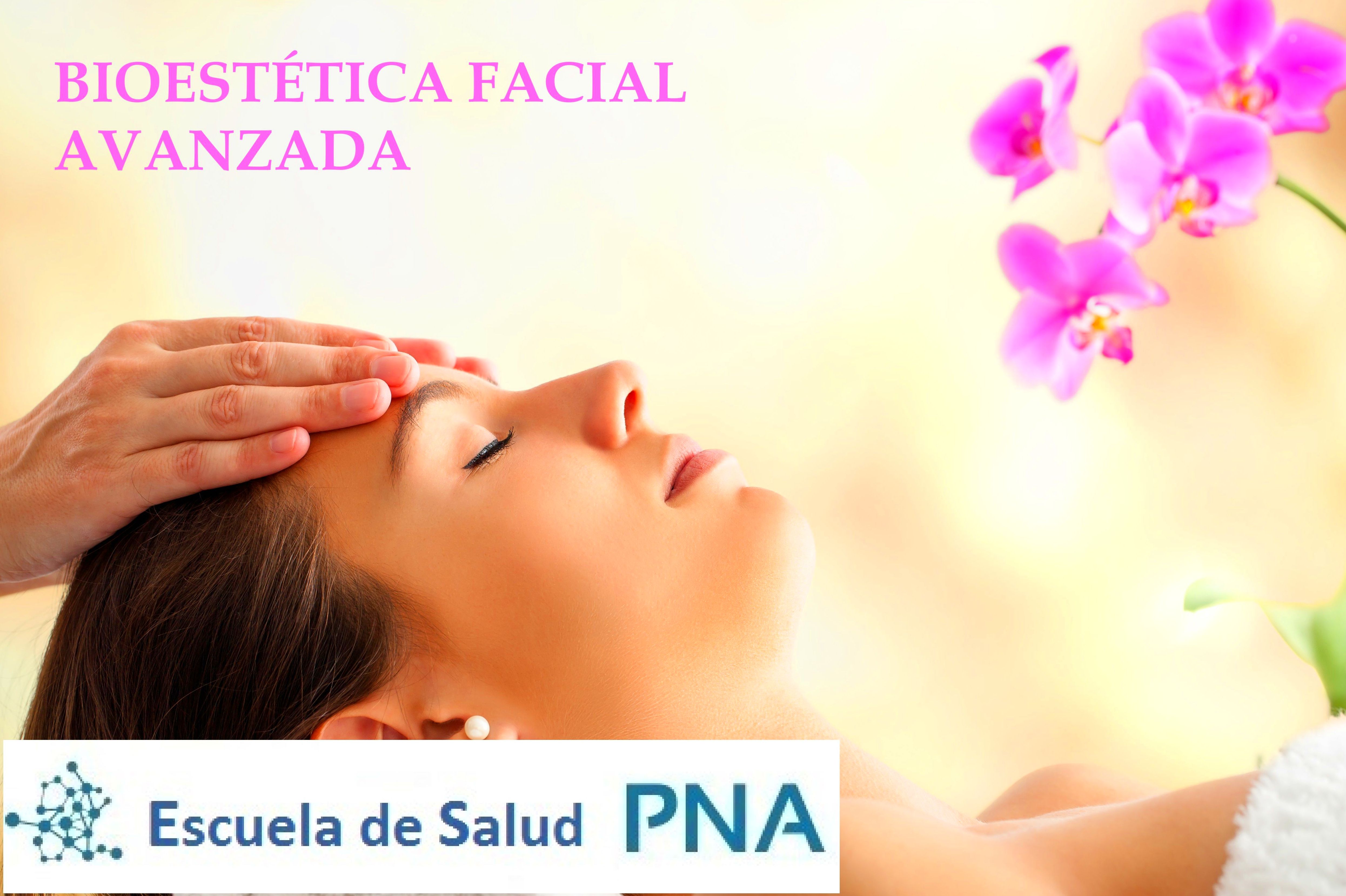 BioEstética Facial Avanzada: Cursos Consultas de Escuela de Salud PNA BioEstética Facial Avanzada: Cursos Consultas de Escuela de Salud PNA
