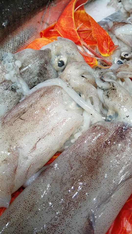 Pescado Salvaje: Productos y Servicios de Pescados y Mariscos Ainhoa Pescado Salvaje: Productos y Servicios de Pescados y Mariscos Ainhoa