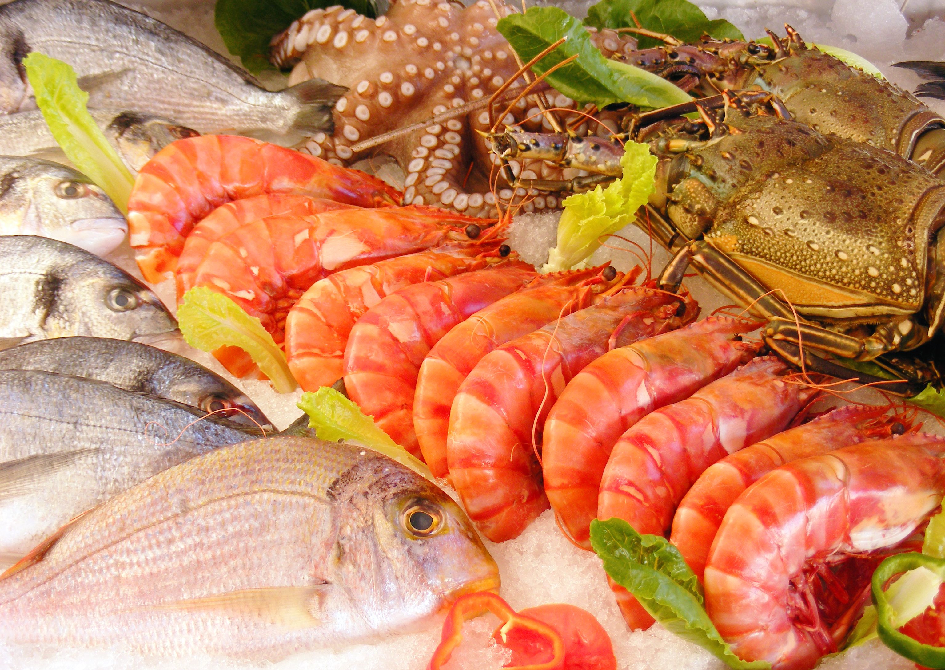 Mariscos: Productos y Servicios de Pescados y Mariscos Ainhoa Mariscos: Productos y Servicios de Pescados y Mariscos Ainhoa