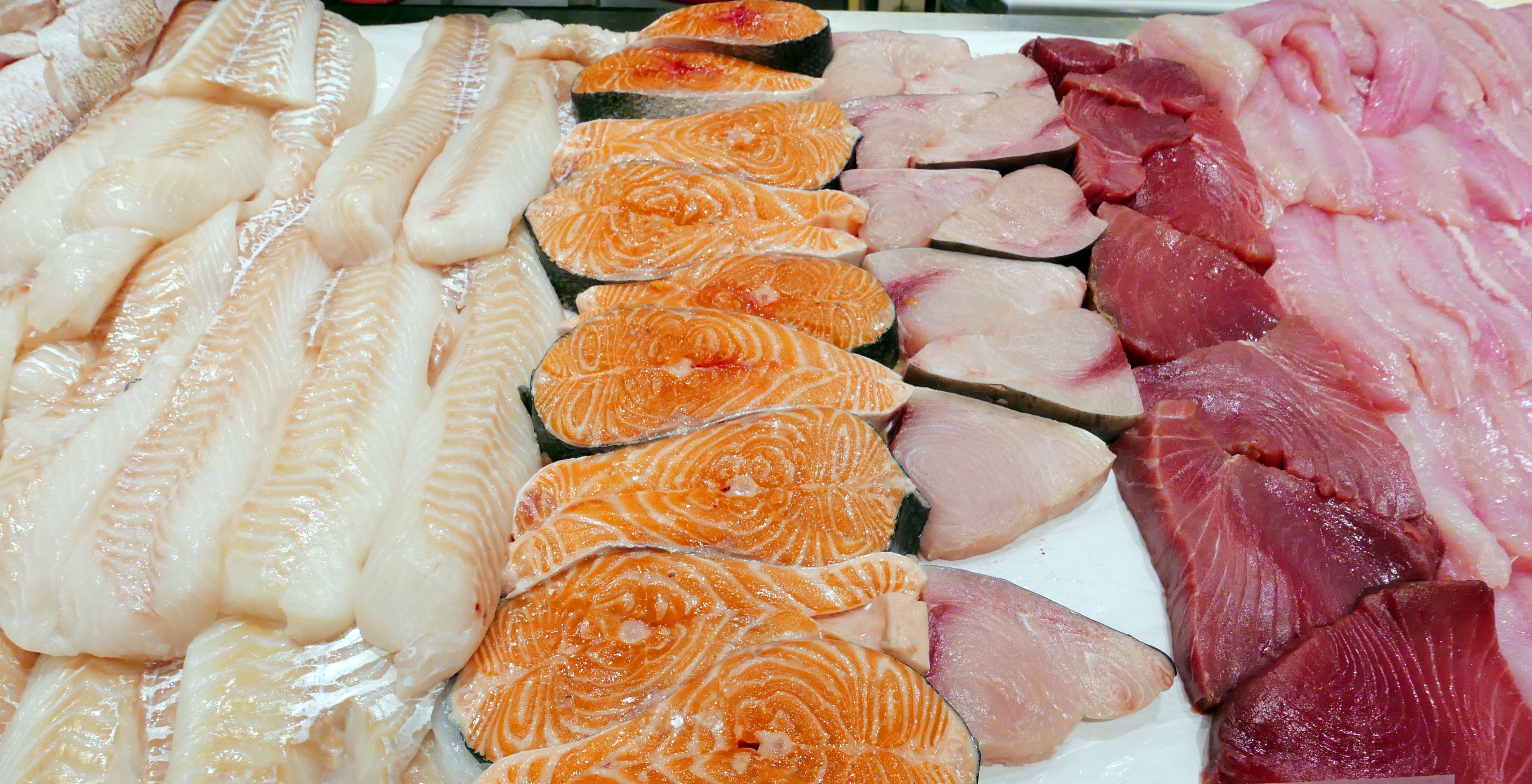 Pescados Acuicultura Nacional: Productos y Servicios de Pescados y Mariscos Ainhoa Pescados Acuicultura Nacional: Productos y Servicios de Pescados y Mariscos Ainhoa