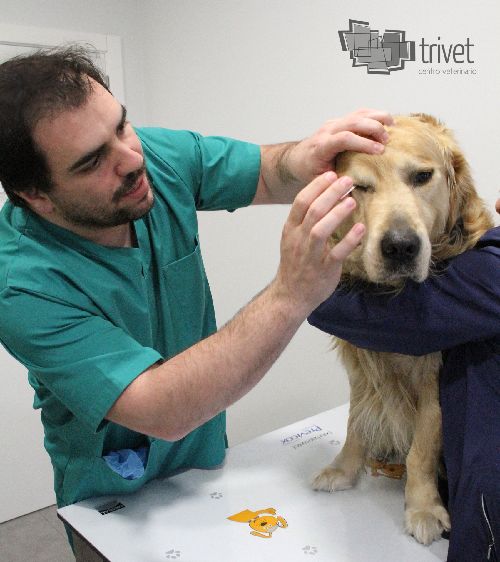 Oftalmología: Servicios de Centro Veterinario Trivet Oftalmología: Servicios de Centro Veterinario Trivet