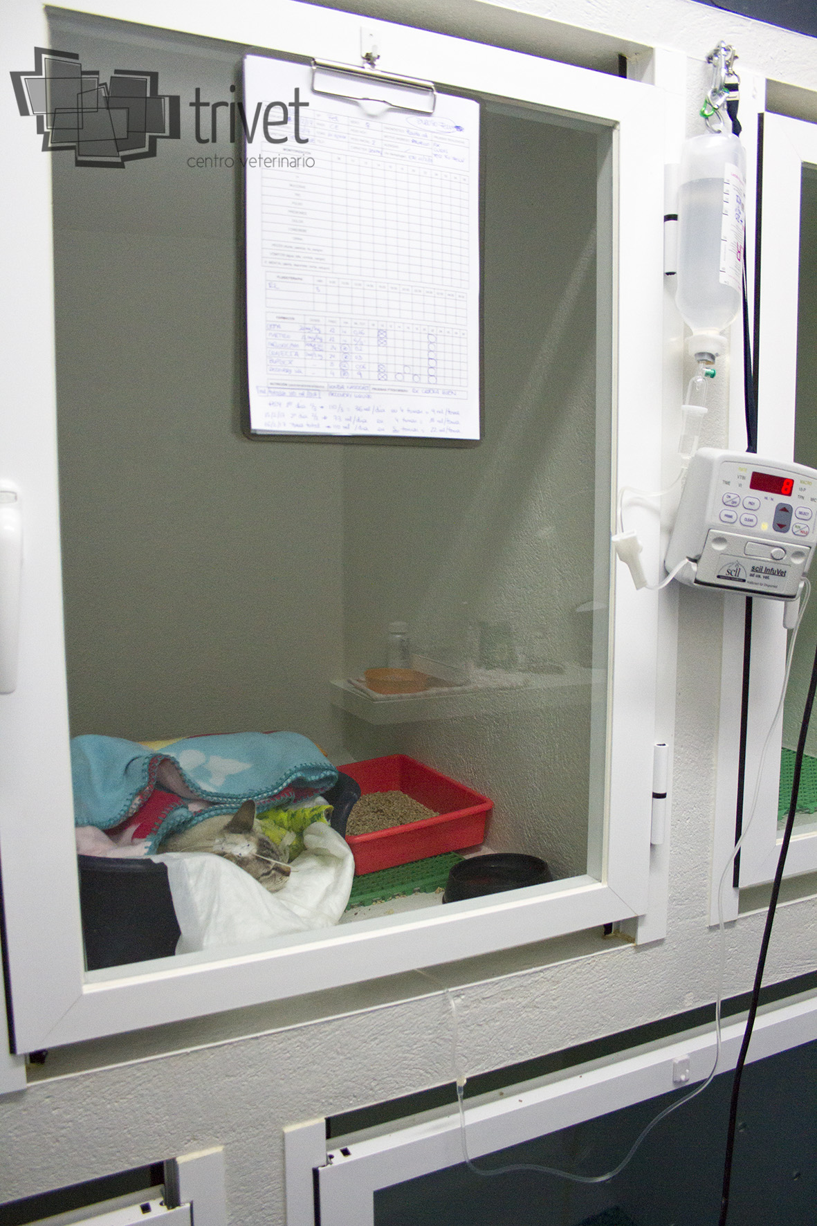 Hospitalización y cuidados intensivos: Servicios de Centro Veterinario Trivet Hospitalización y cuidados intensivos: Servicios de Centro Veterinario Trivet