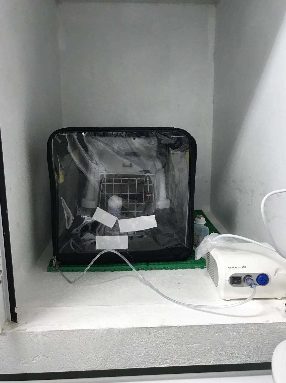 Tratamiento de neumonía mediante nebulización Tratamiento de neumonía mediante nebulización