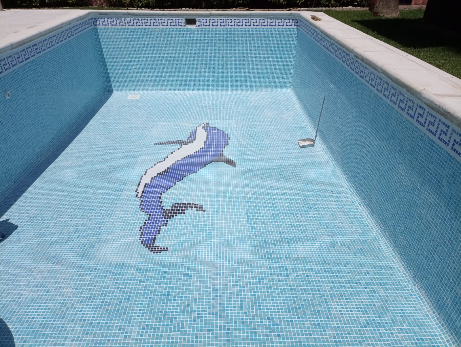 Mantenimiento de piscinas: Servicios profesionales de Sky Servicios Integrales Mantenimiento de piscinas: Servicios profesionales de Sky Servicios Integrales