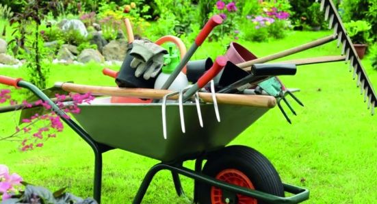 Mantenimiento de jardinería: Servicios profesionales de Sky Servicios Integrales Mantenimiento de jardinería: Servicios profesionales de Sky Servicios Integrales