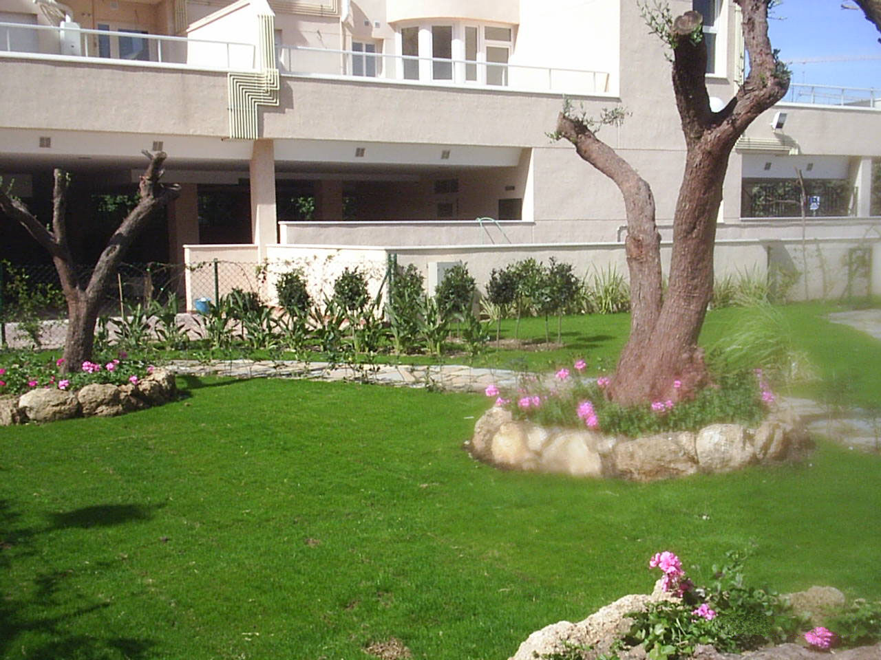 Especialistas en:: servicios de Plante Verde Especialistas en:: servicios de Plante Verde