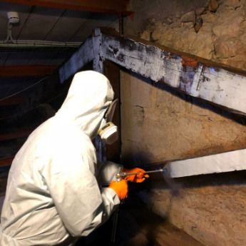 Termitas y tratamiento de la madera: Tratamientos de Sanidad Ambiental Ecoambiente Termitas y tratamiento de la madera: Tratamientos de Sanidad Ambiental Ecoambiente