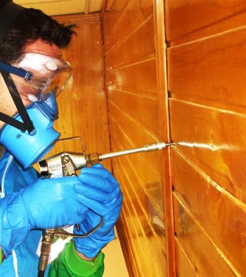 Termitas y tratamiento de la madera: Tratamientos de Sanidad Ambiental Ecoambiente Termitas y tratamiento de la madera: Tratamientos de Sanidad Ambiental Ecoambiente
