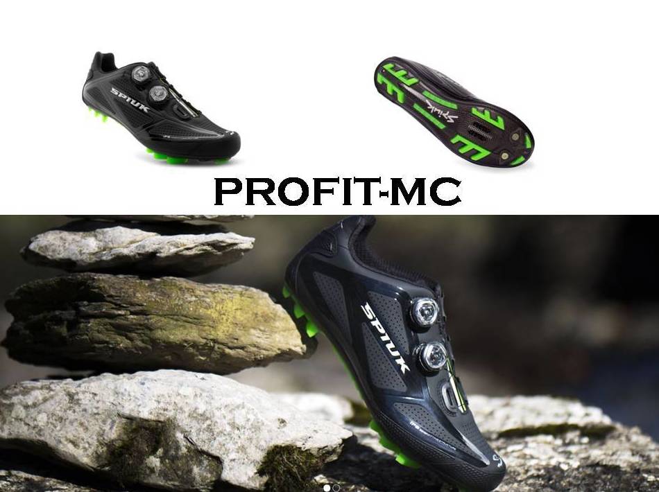 PROFIT-MC: de ES X TRI PROFIT-MC: de ES X TRI