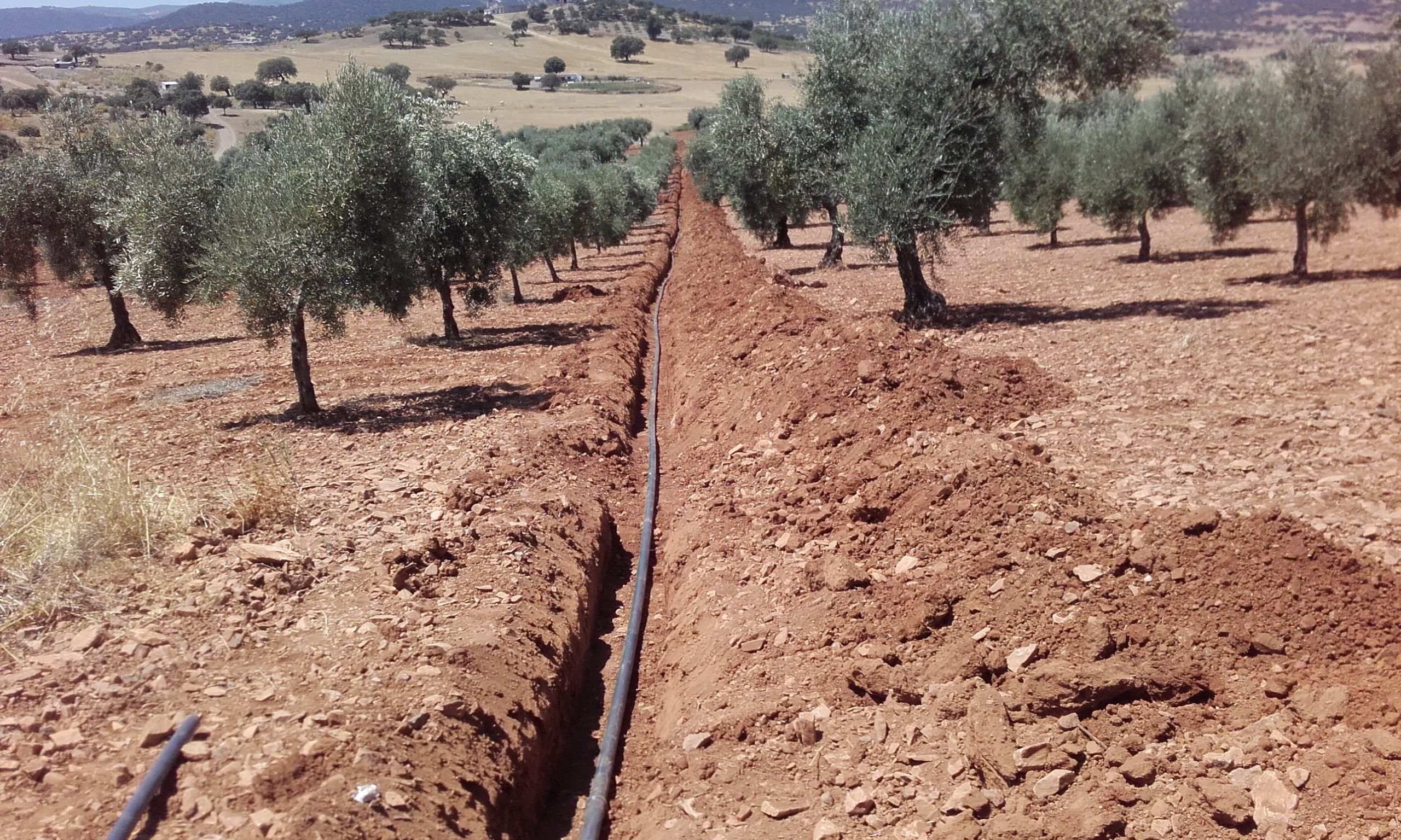 Zanjeos: Servicios de Excavaciones López Zanjeos: Servicios de Excavaciones López