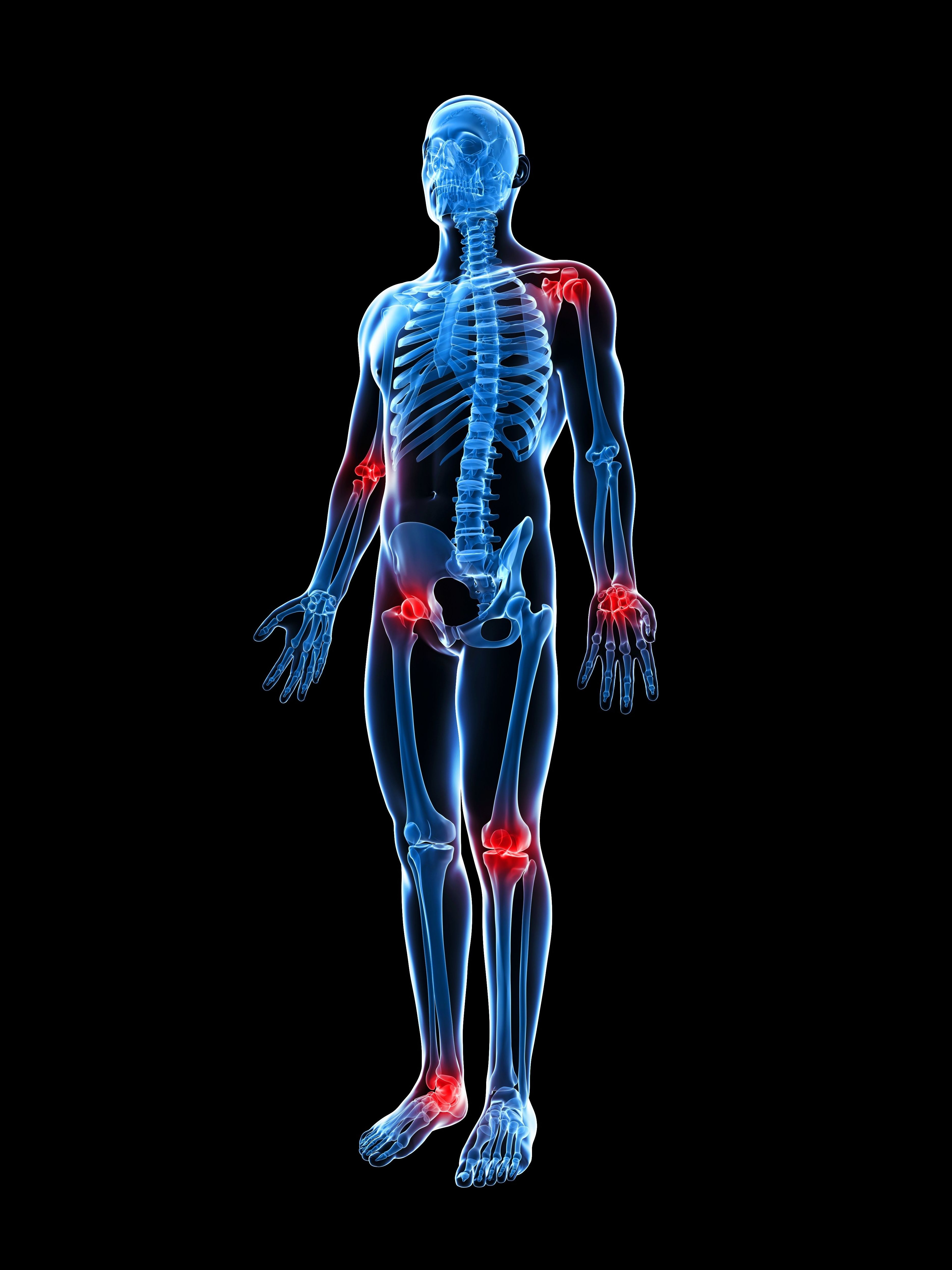Fisioterapia : Servicios de Fisio Innova Plus Fisioterapia : Servicios de Fisio Innova Plus