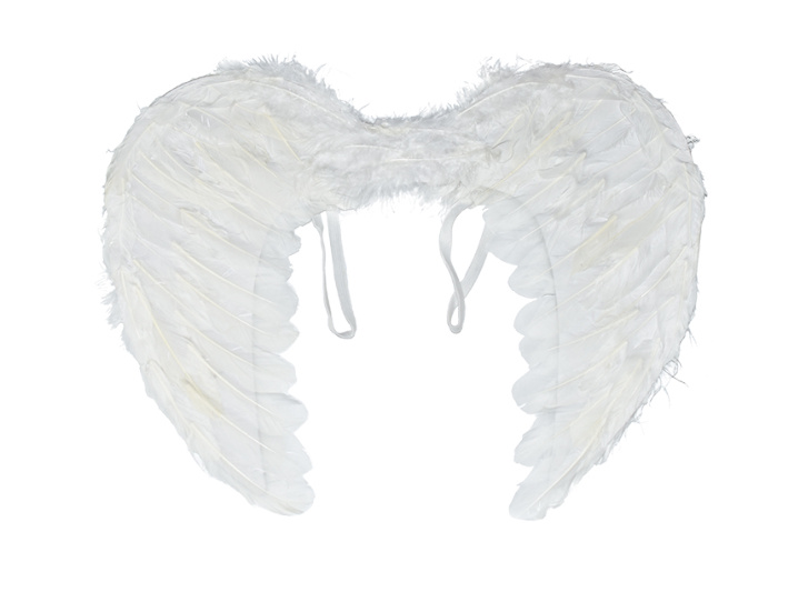 Alas plumas blancas grandes Alas plumas blancas grandes