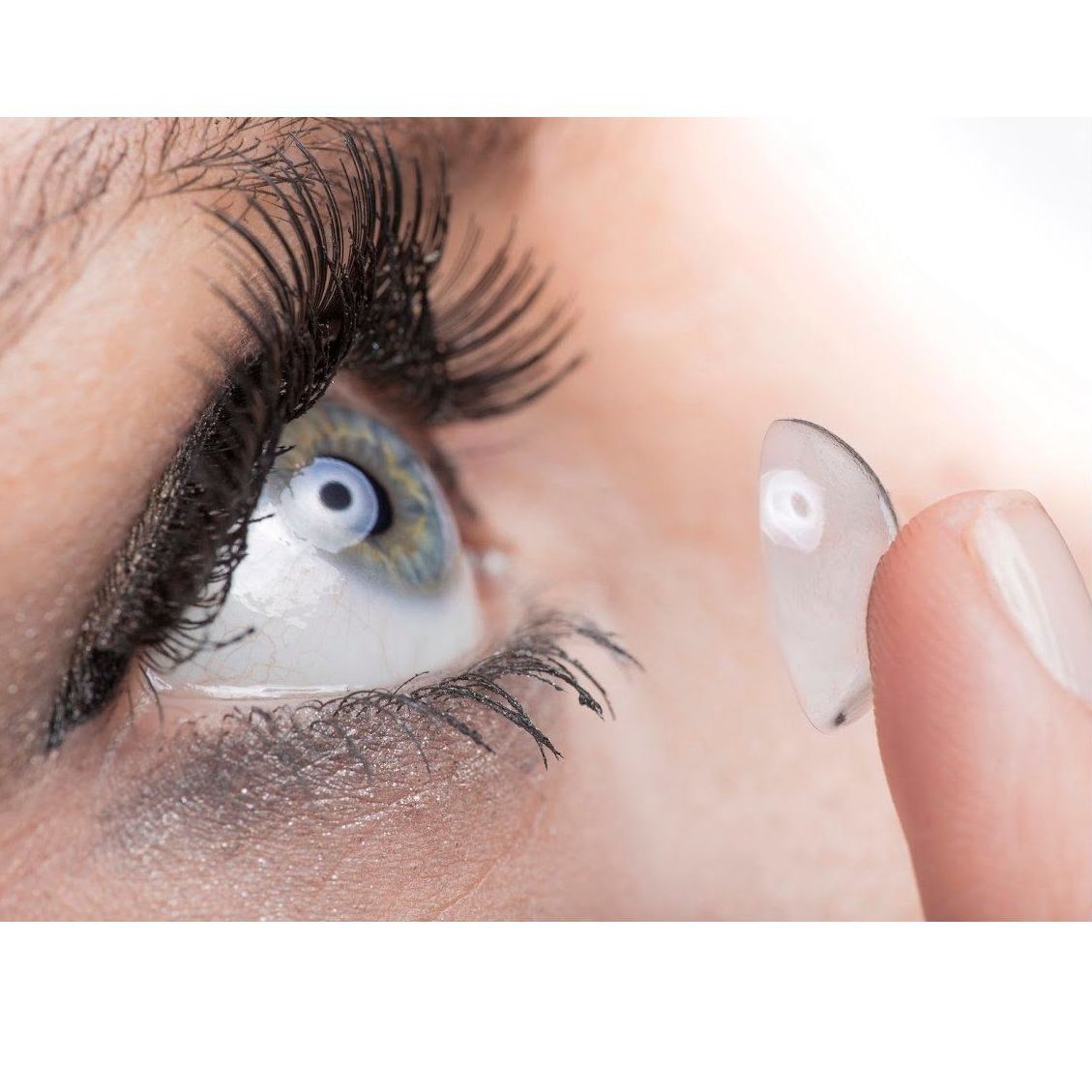Lentes de contacto: Servicios de Studio Visión Lentes de contacto: Servicios de Studio Visión