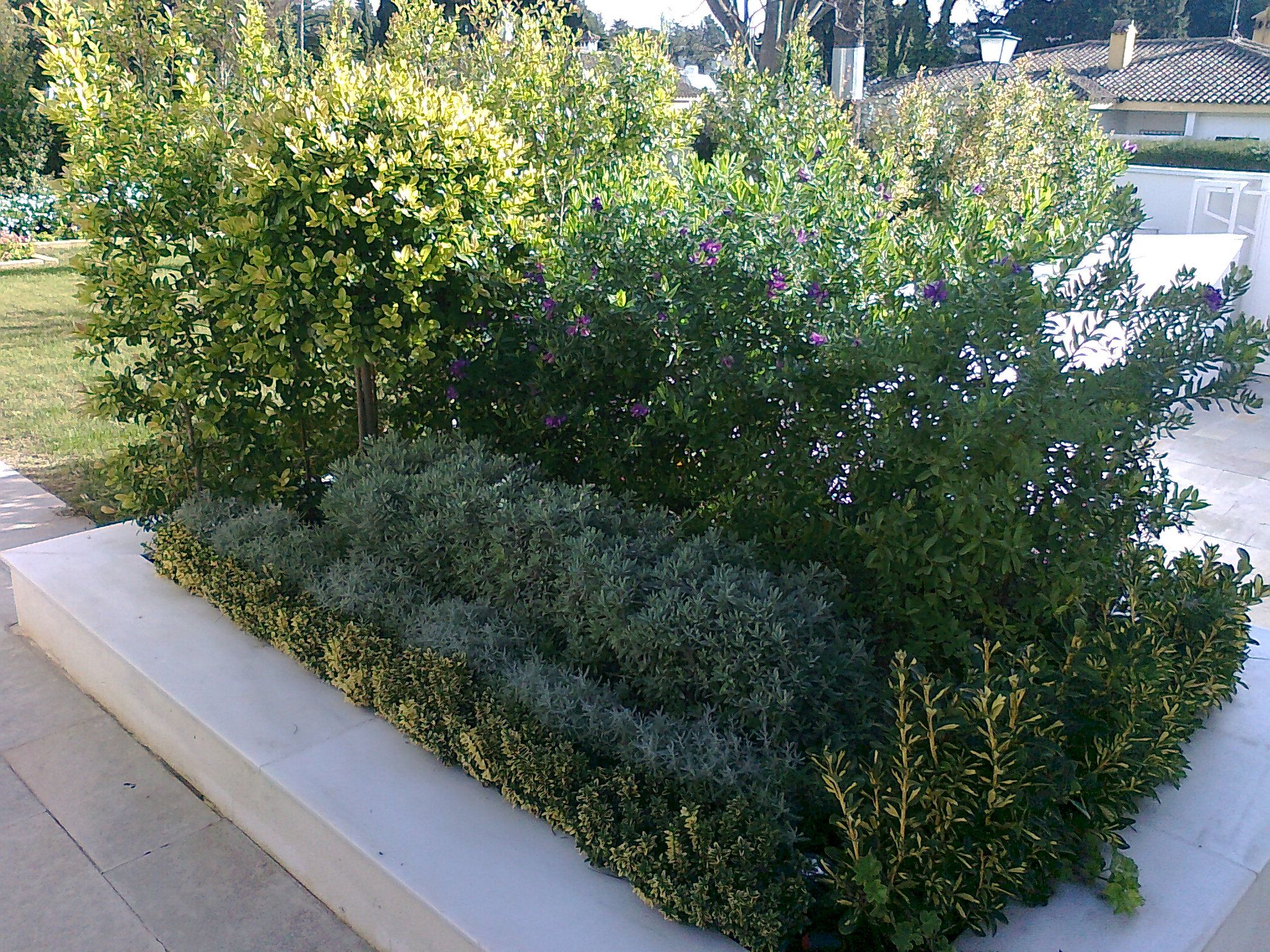 Creación de jardines: Servicios de Indigo Jardines Creación de jardines: Servicios de Indigo Jardines