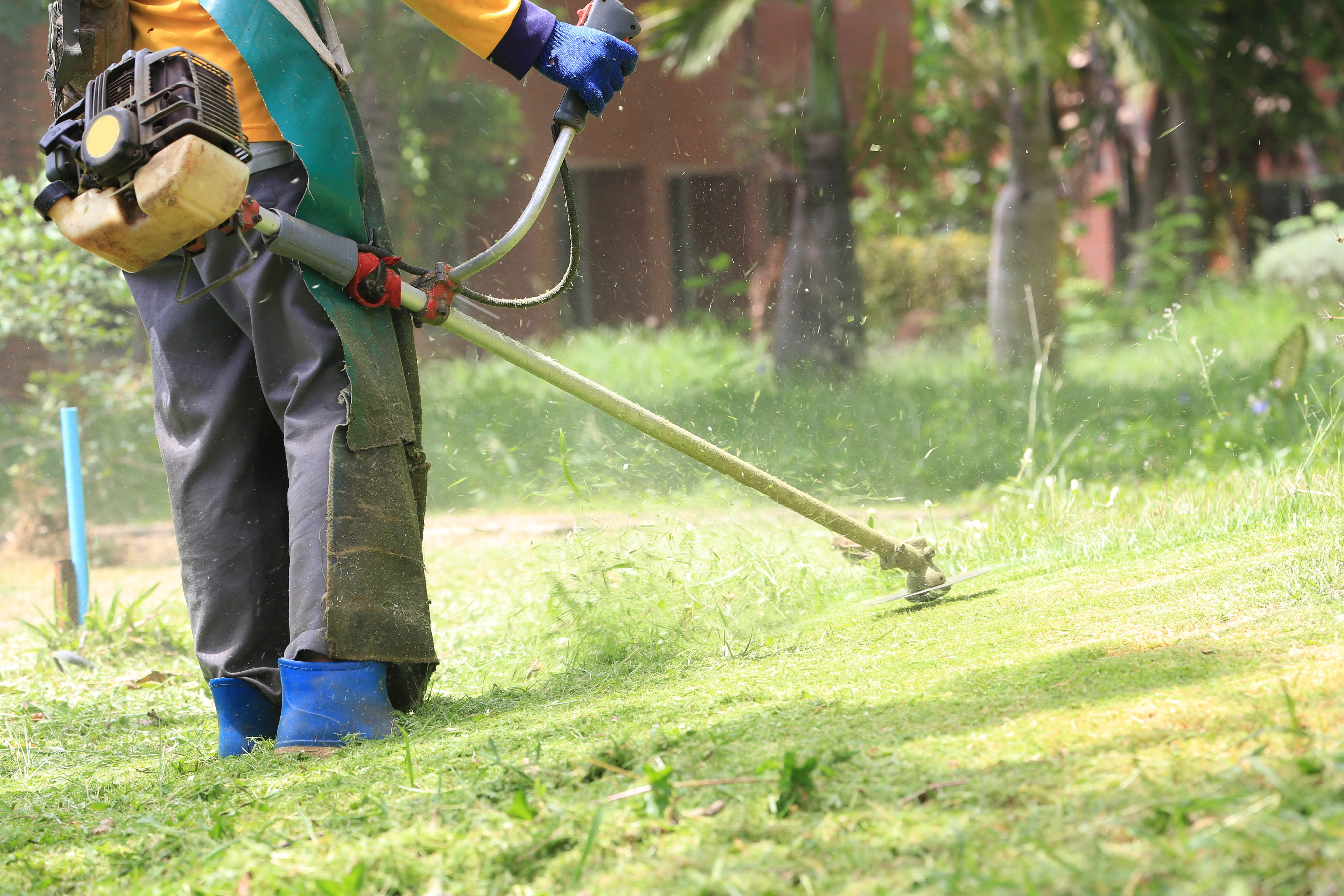 Desbroce y limpieza de parcelas: Servicios de Indigo Jardines Desbroce y limpieza de parcelas: Servicios de Indigo Jardines