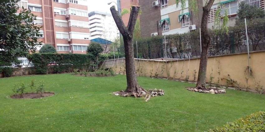 Mantenimiento de jardines: Servicios de Indigo Jardines Mantenimiento de jardines: Servicios de Indigo Jardines