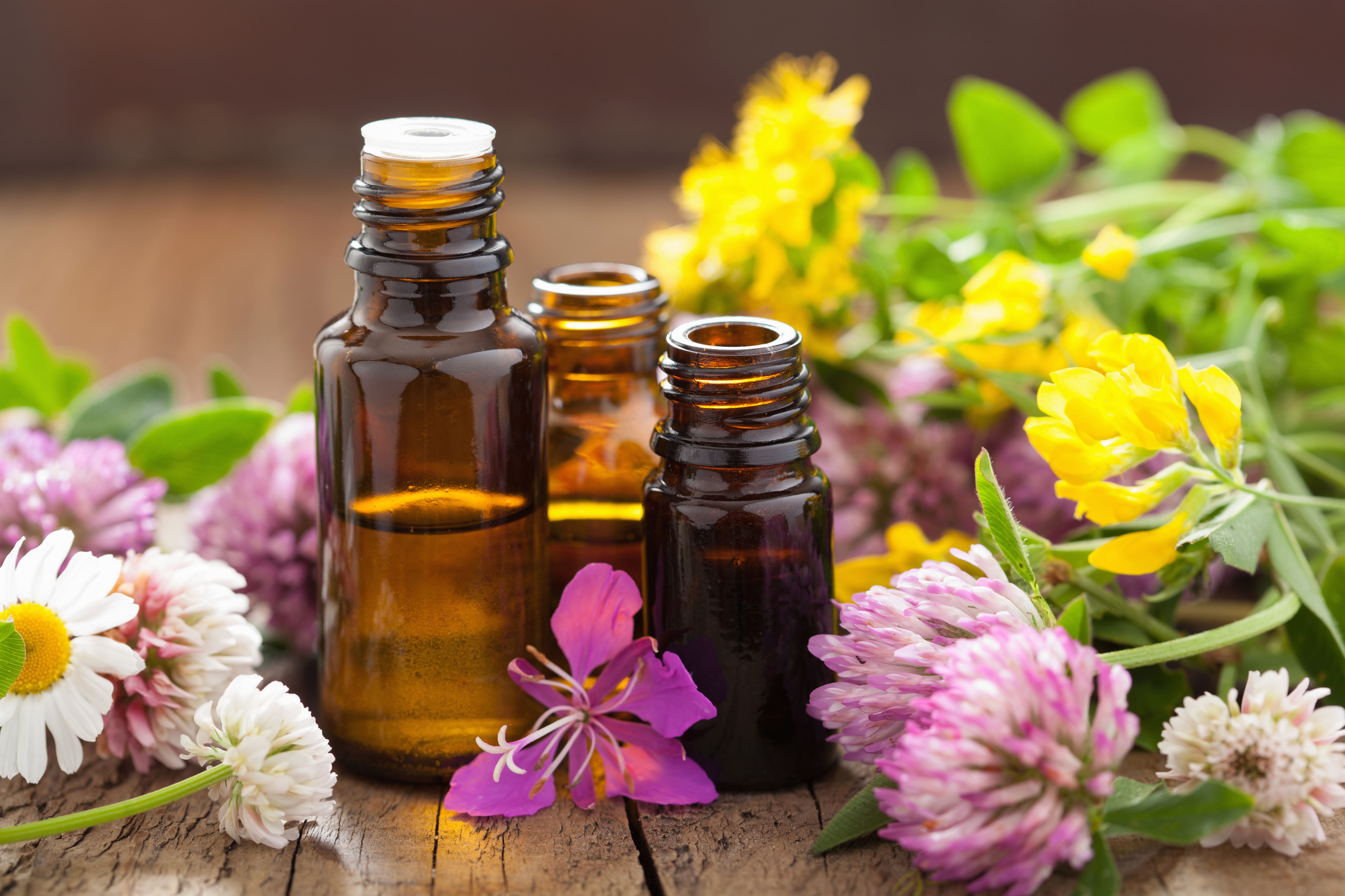 Homeopatía: Catálogo de Farmacia El Socorro Homeopatía: Catálogo de Farmacia El Socorro
