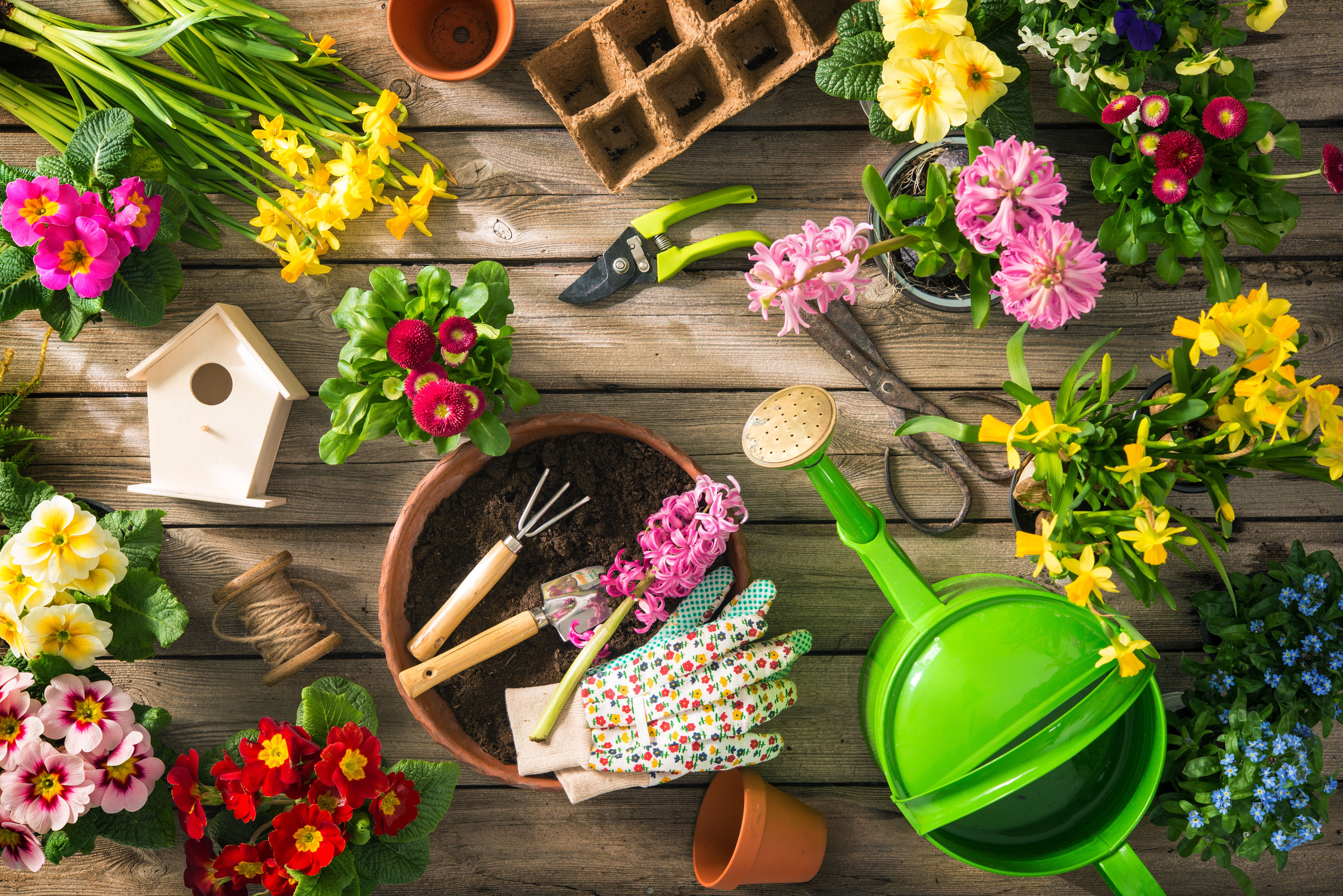 Jardinería: Productos y servicios de Ferretería Son Ferrer Jardinería: Productos y servicios de Ferretería Son Ferrer