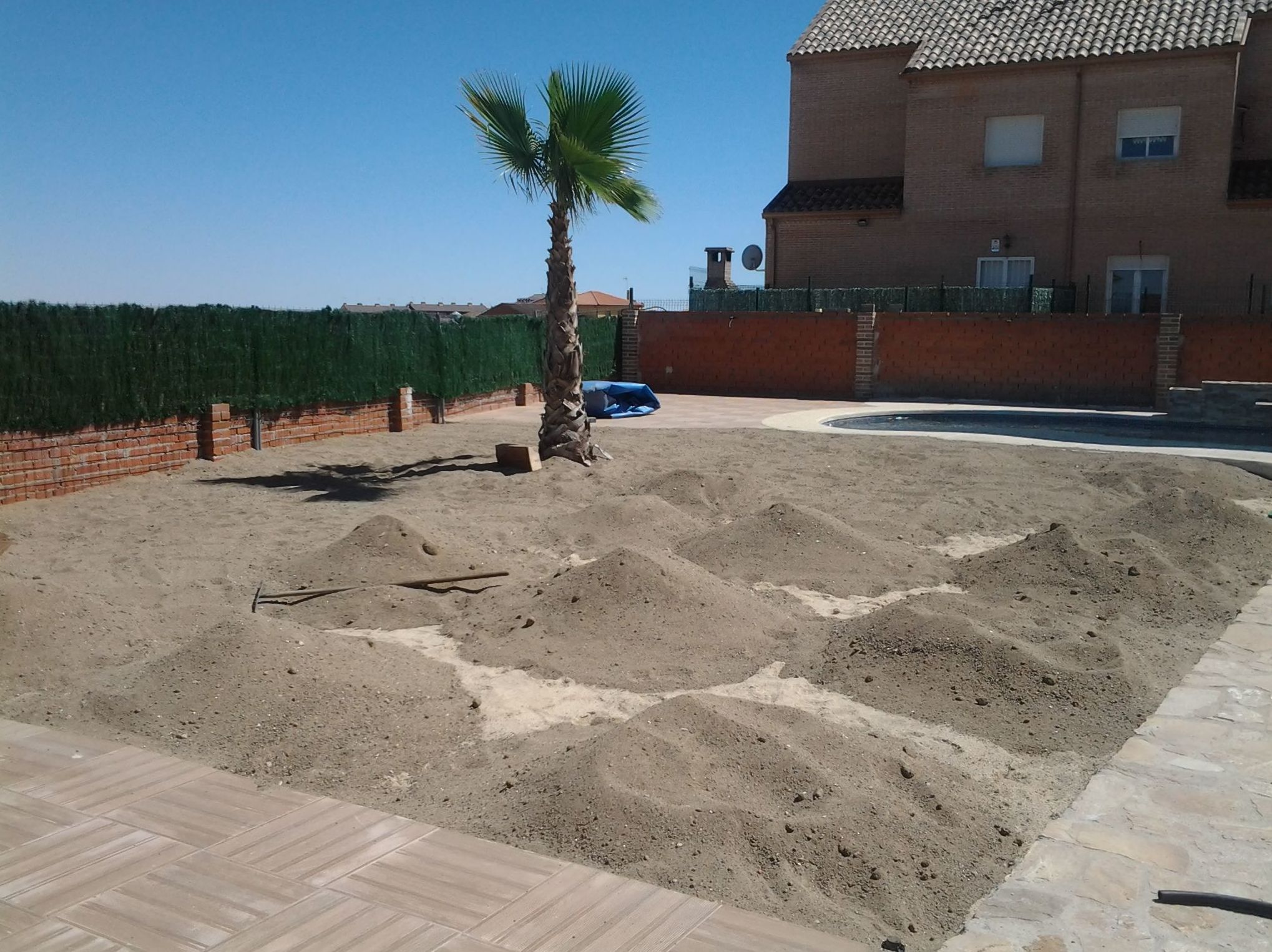 Césped natural: Servicios de Jardinería Sefer Césped natural: Servicios de Jardinería Sefer