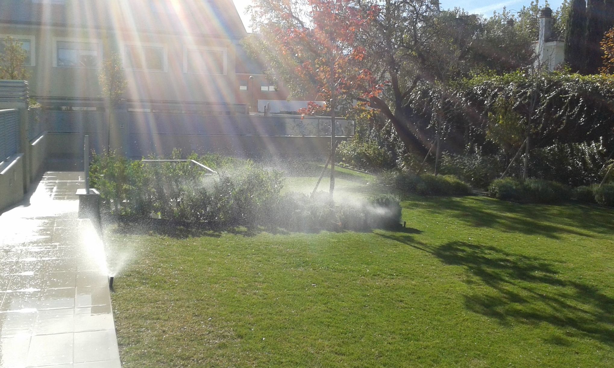 Riegos: Servicios de Jardinería Sefer Riegos: Servicios de Jardinería Sefer