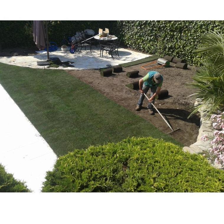 Césped natural: Servicios de Jardinería Sefer Césped natural: Servicios de Jardinería Sefer