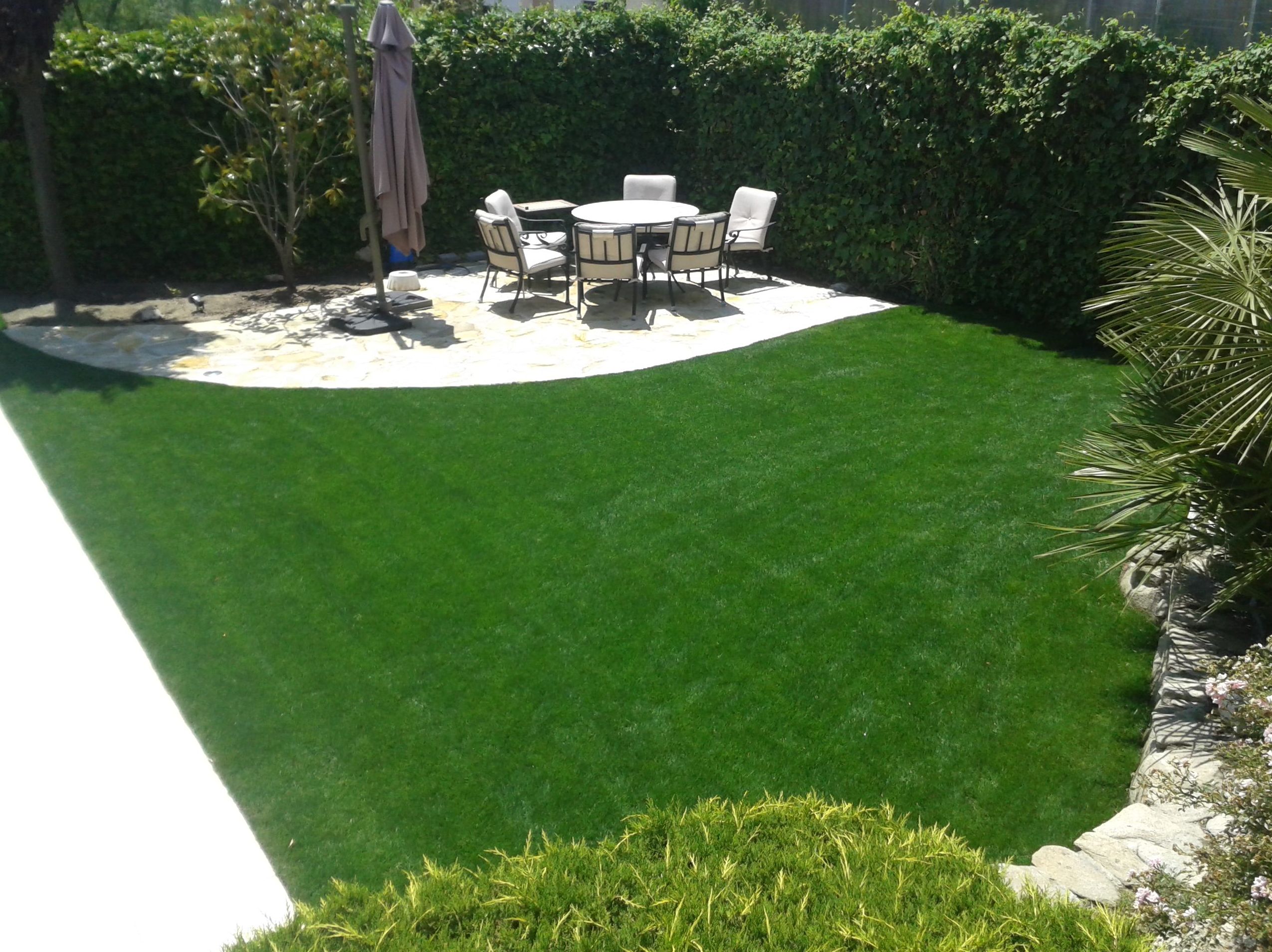 Césped natural: Servicios de Jardinería Sefer Césped natural: Servicios de Jardinería Sefer
