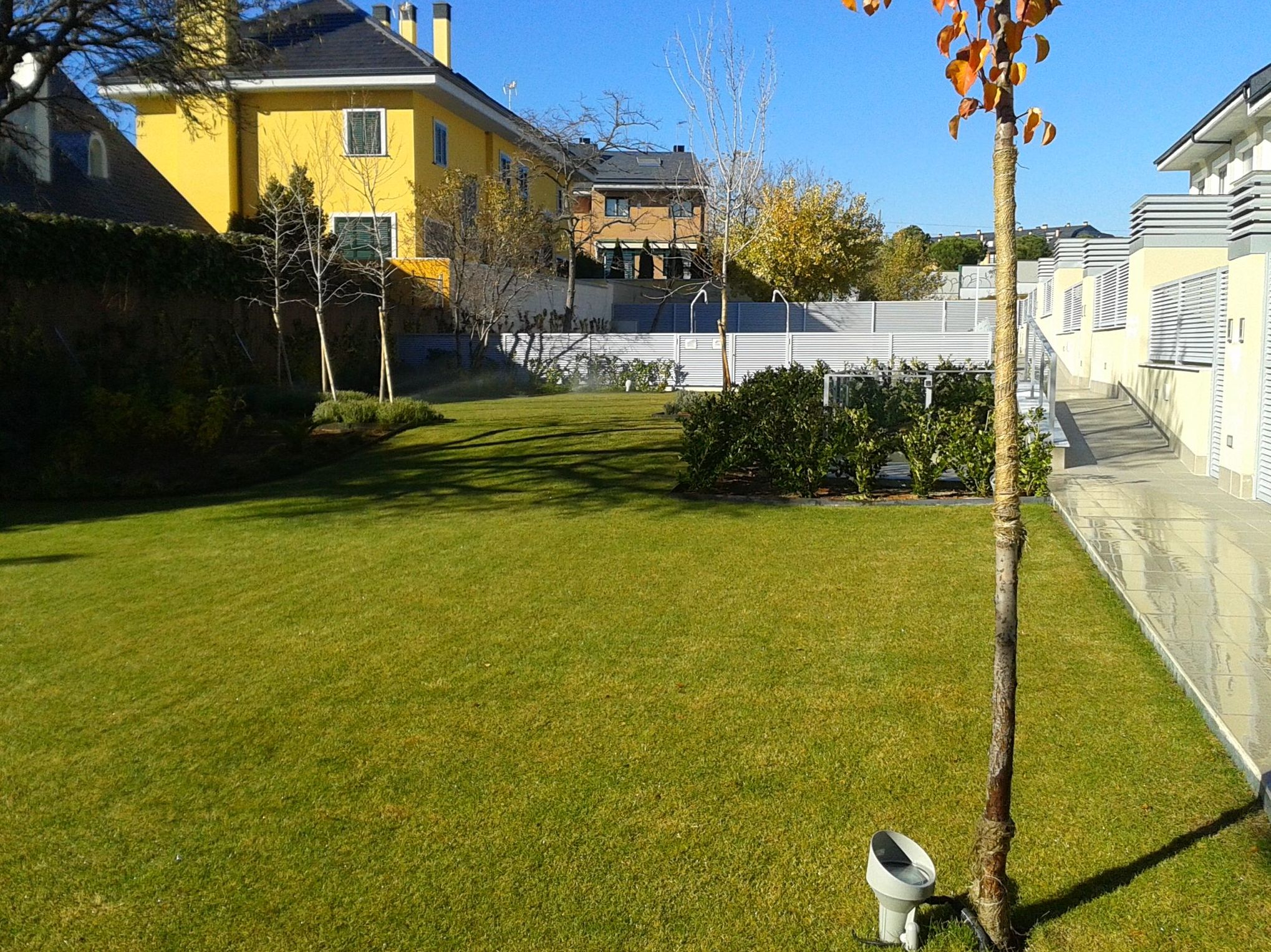 Mantenimientos integrales: Servicios de Jardinería Sefer Mantenimientos integrales: Servicios de Jardinería Sefer