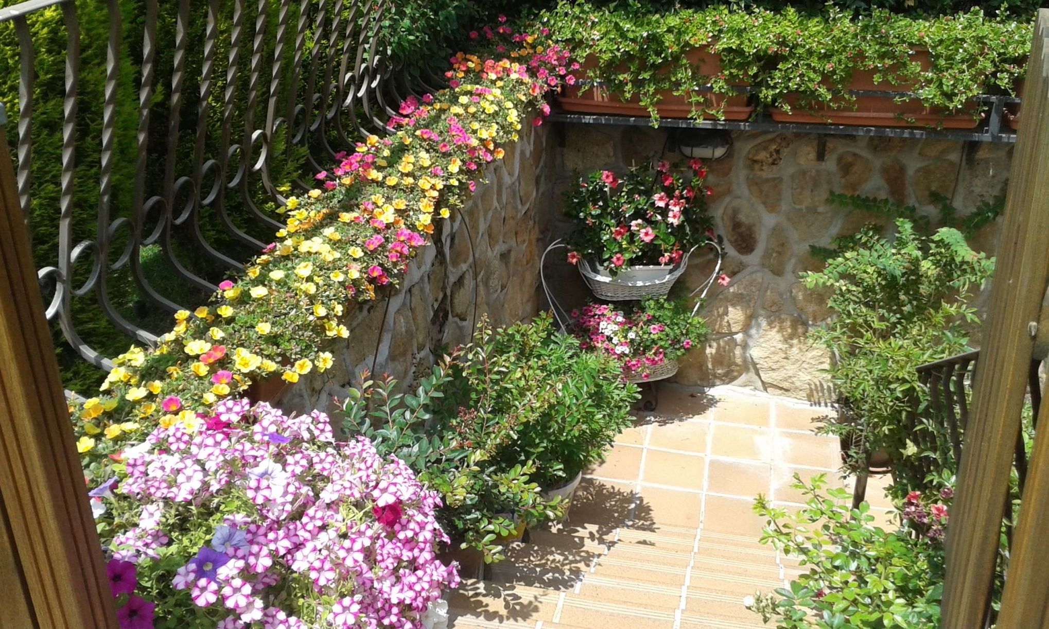 Diseños: Servicios de Jardinería Sefer Diseños: Servicios de Jardinería Sefer