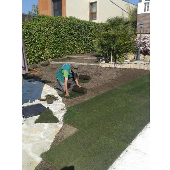 Césped natural: Servicios de Jardinería Sefer Césped natural: Servicios de Jardinería Sefer