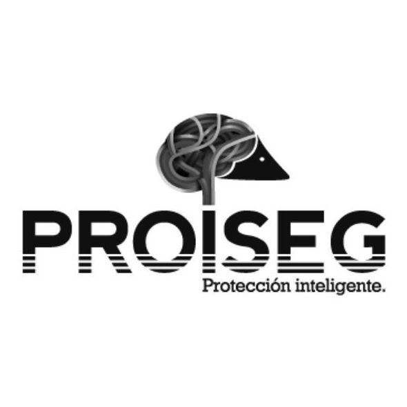 Proiseg Proiseg