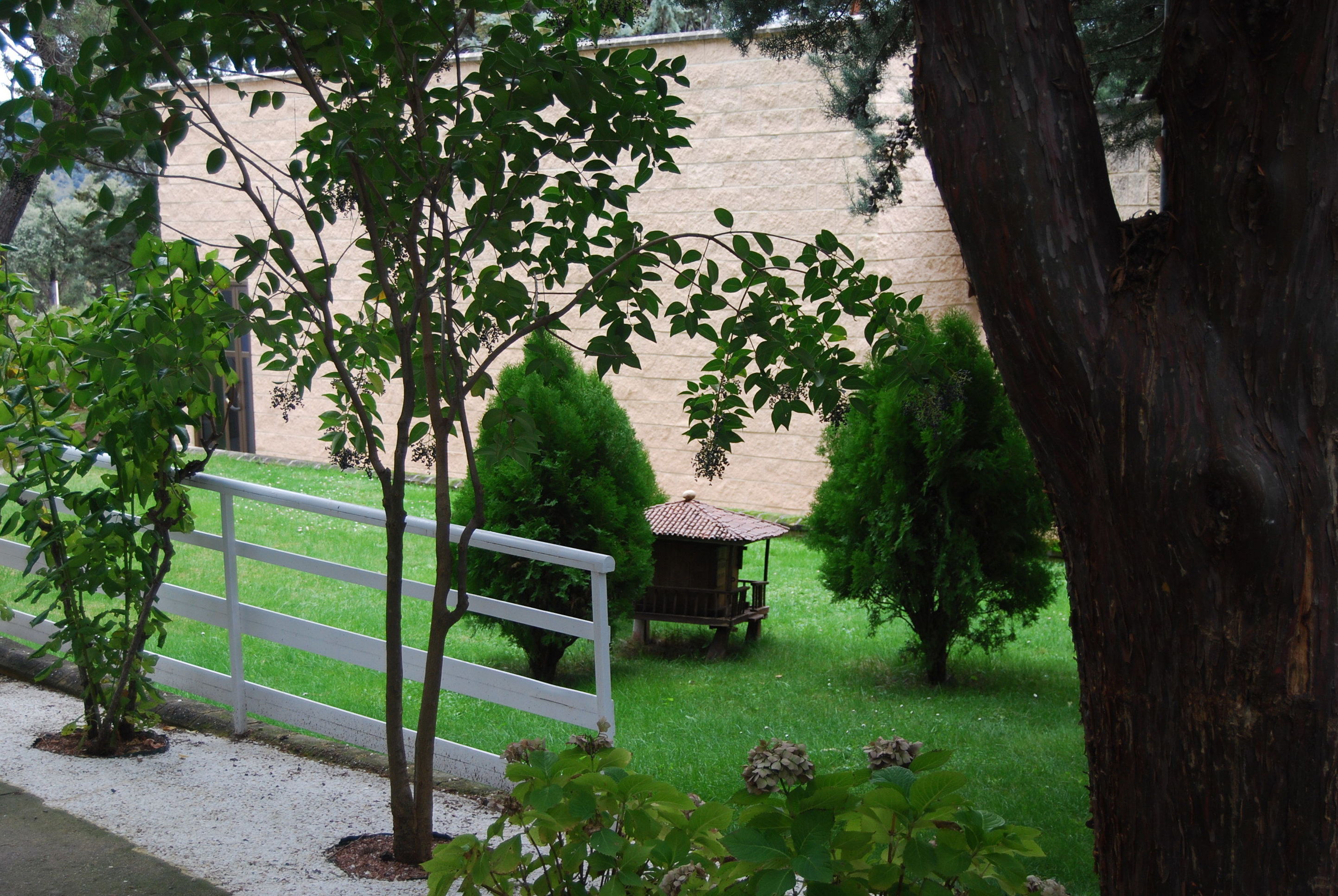 HORTICULTURA: Nuestra residencia de Residencia para la tercera edad La Suiza Santa Rita HORTICULTURA: Nuestra residencia de Residencia para la tercera edad La Suiza Santa Rita