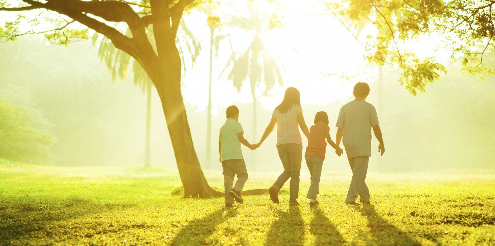 Terapia de familia Terapia de familia