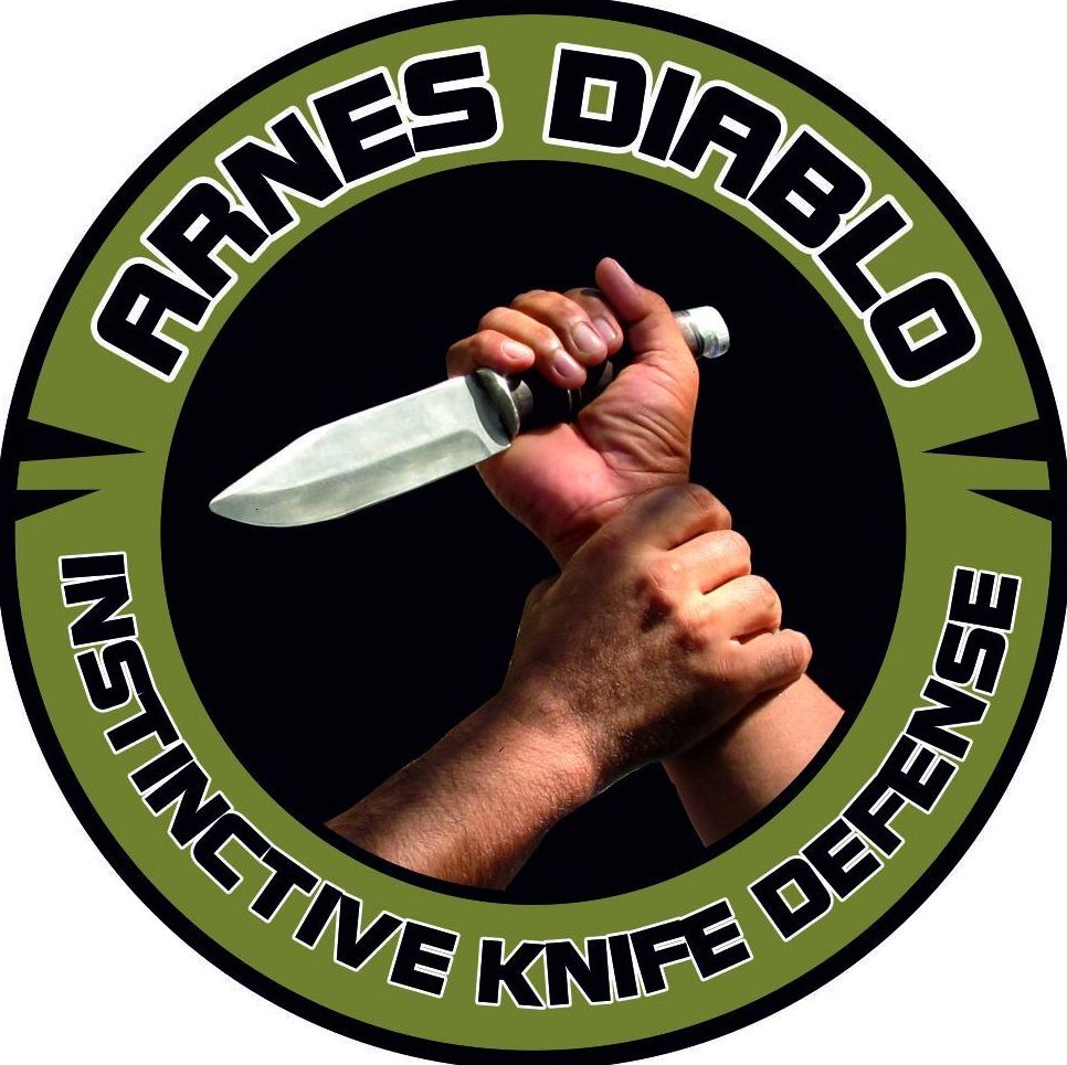Arnes Diablo: Disciplinas de Dojo Rivera Ryu Arnes Diablo: Disciplinas de Dojo Rivera Ryu