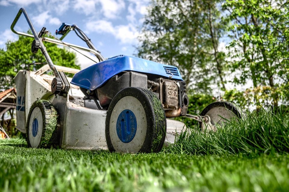 Mantenimiento de jardines: Servicios de Limpiezas Elym Mantenimiento de jardines: Servicios de Limpiezas Elym