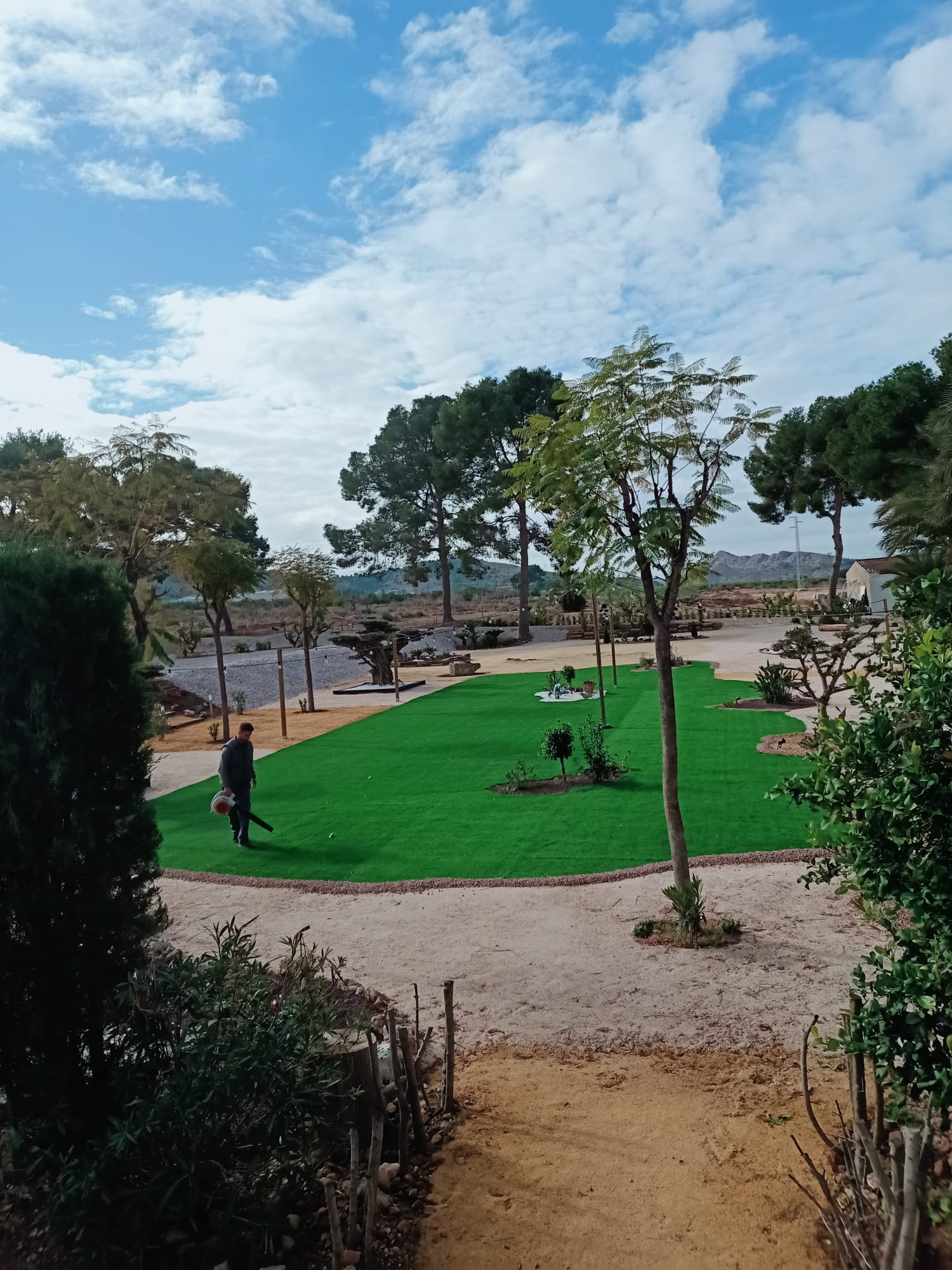 Mantenimiento de jardines en Murcia