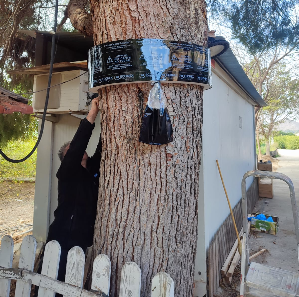 Trampa ecológica de collar de tronco para procesionaria: Productos de Mantenimiento Aspi