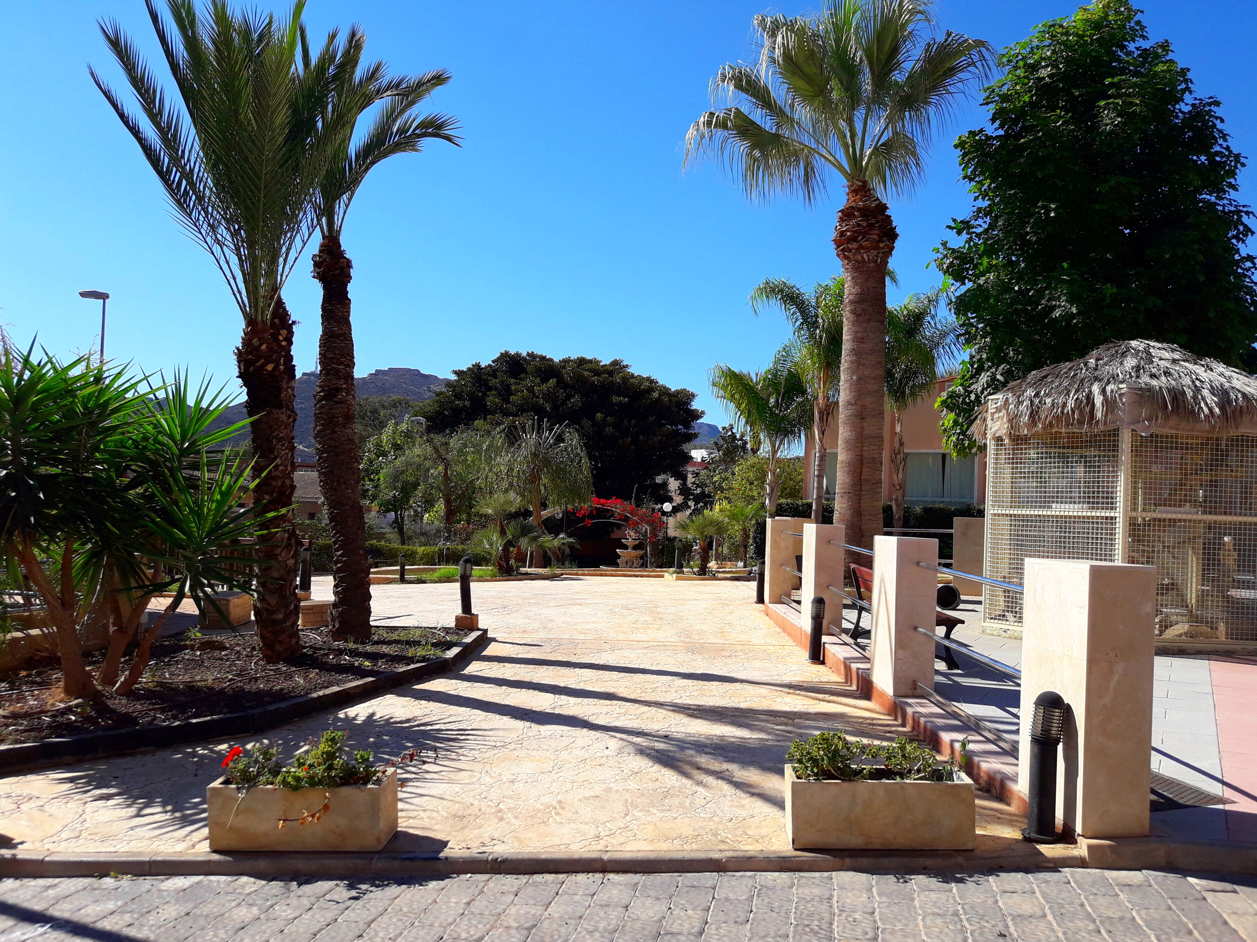 Mantenimiento de jardines: Servicios de Mantenimiento Aspi Mantenimiento de jardines: Servicios de Mantenimiento Aspi