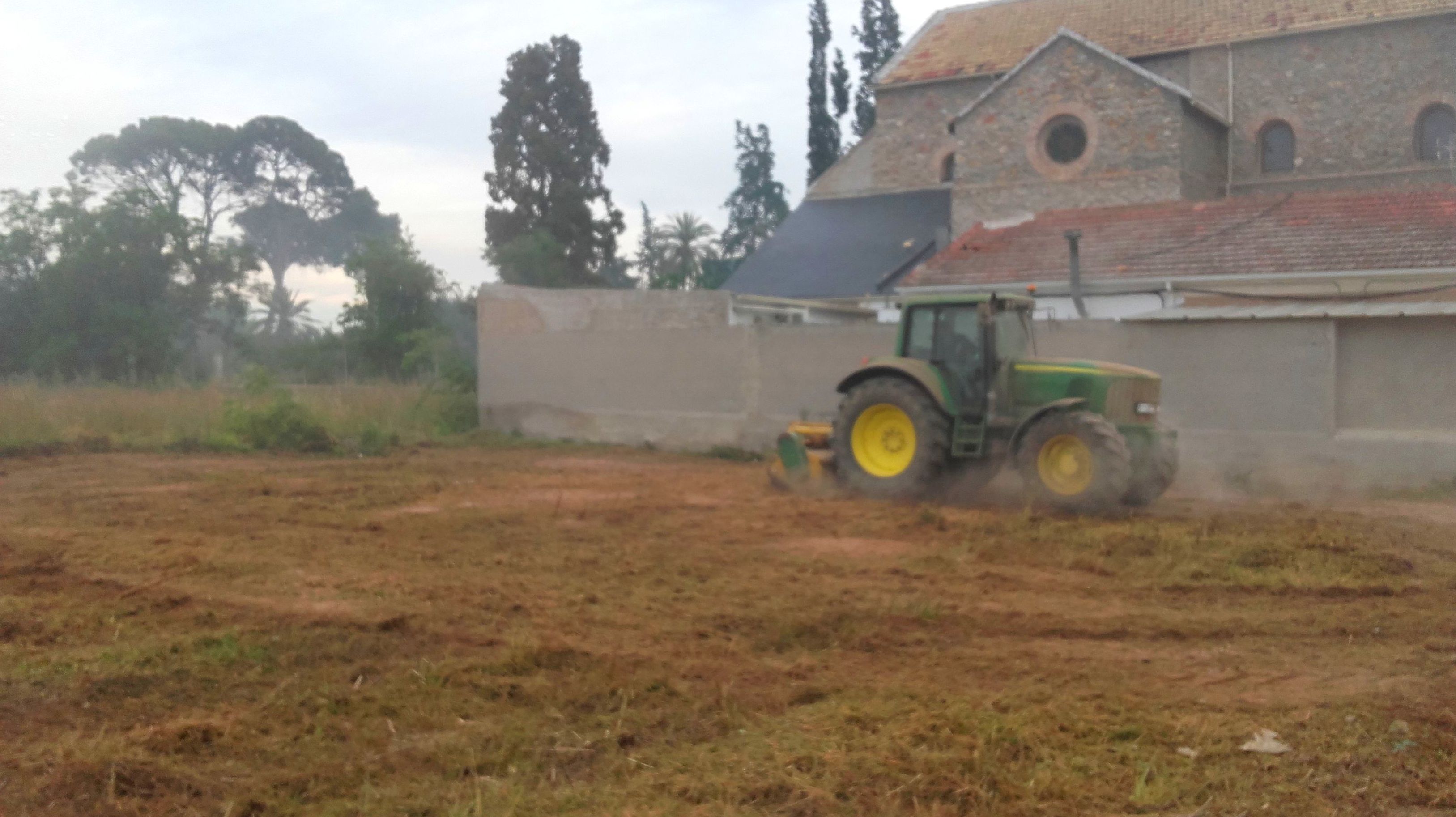 Desbrozando el terreno Desbrozando el terreno