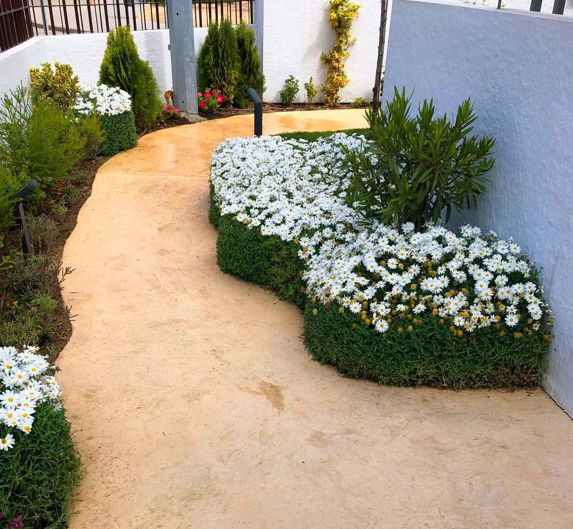 Mantenimiento de jardines decorativos