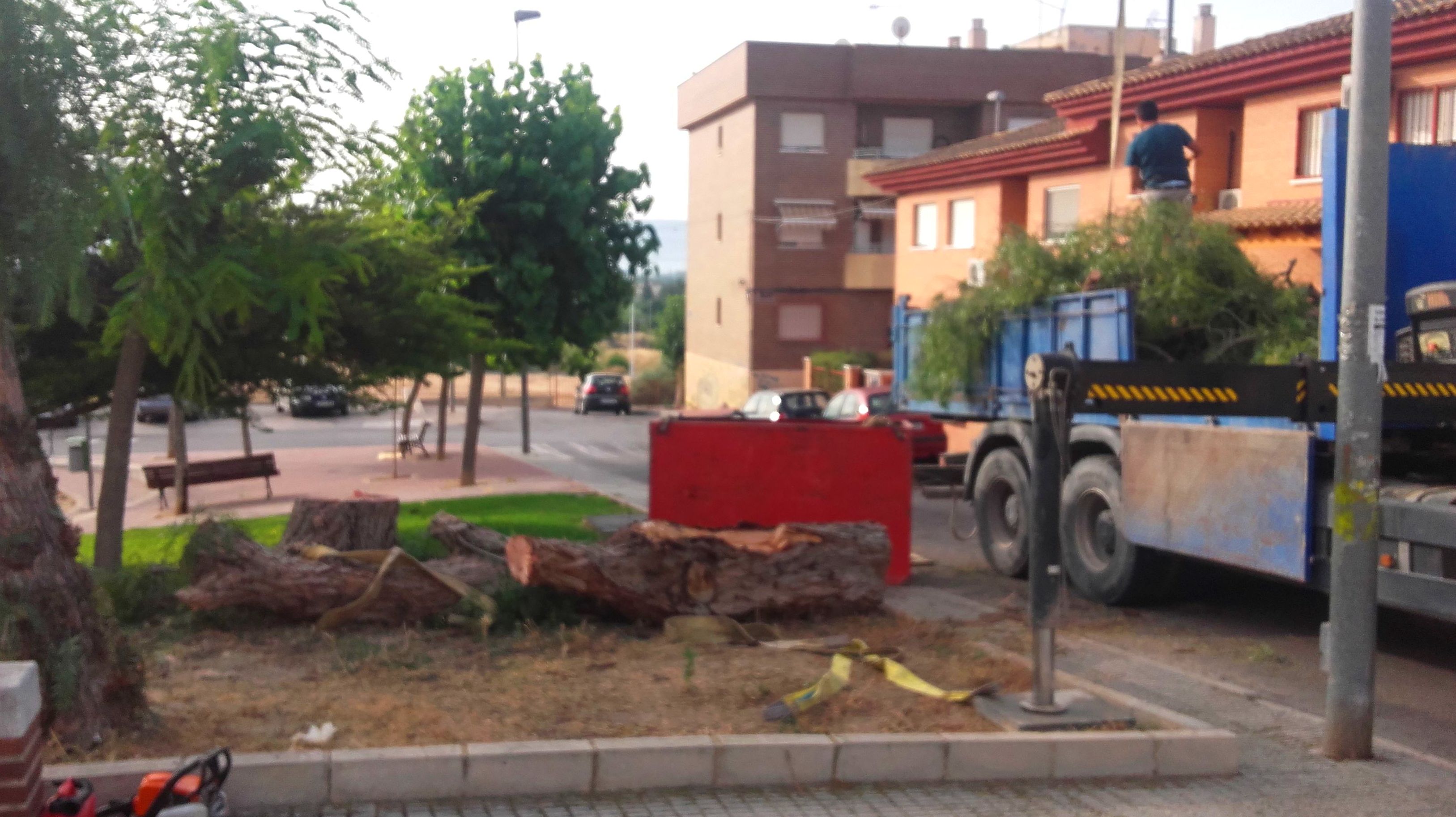 Talado de falsa pimienta Talado de falsa pimienta