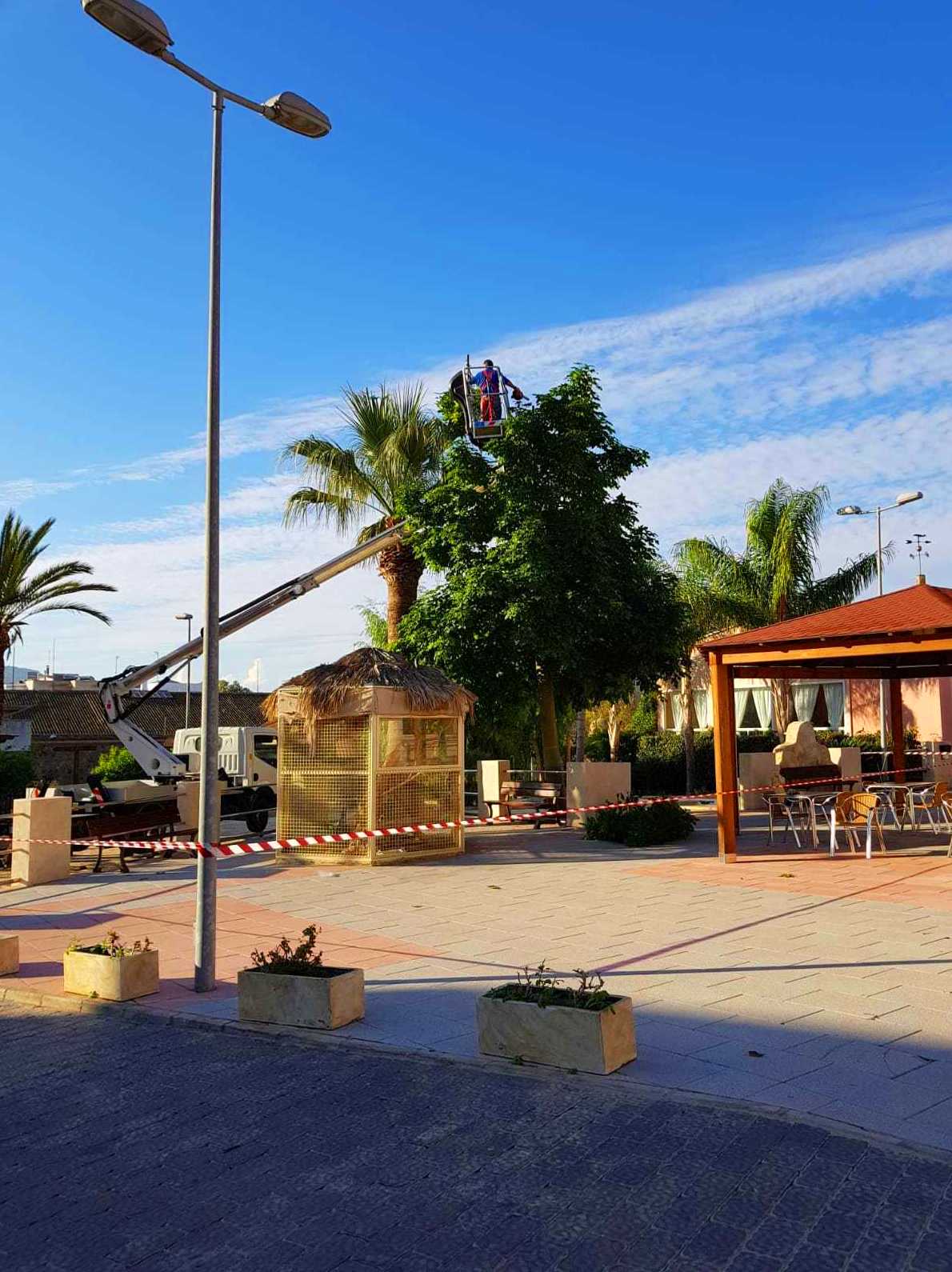 Tala de árbol Tala de árbol