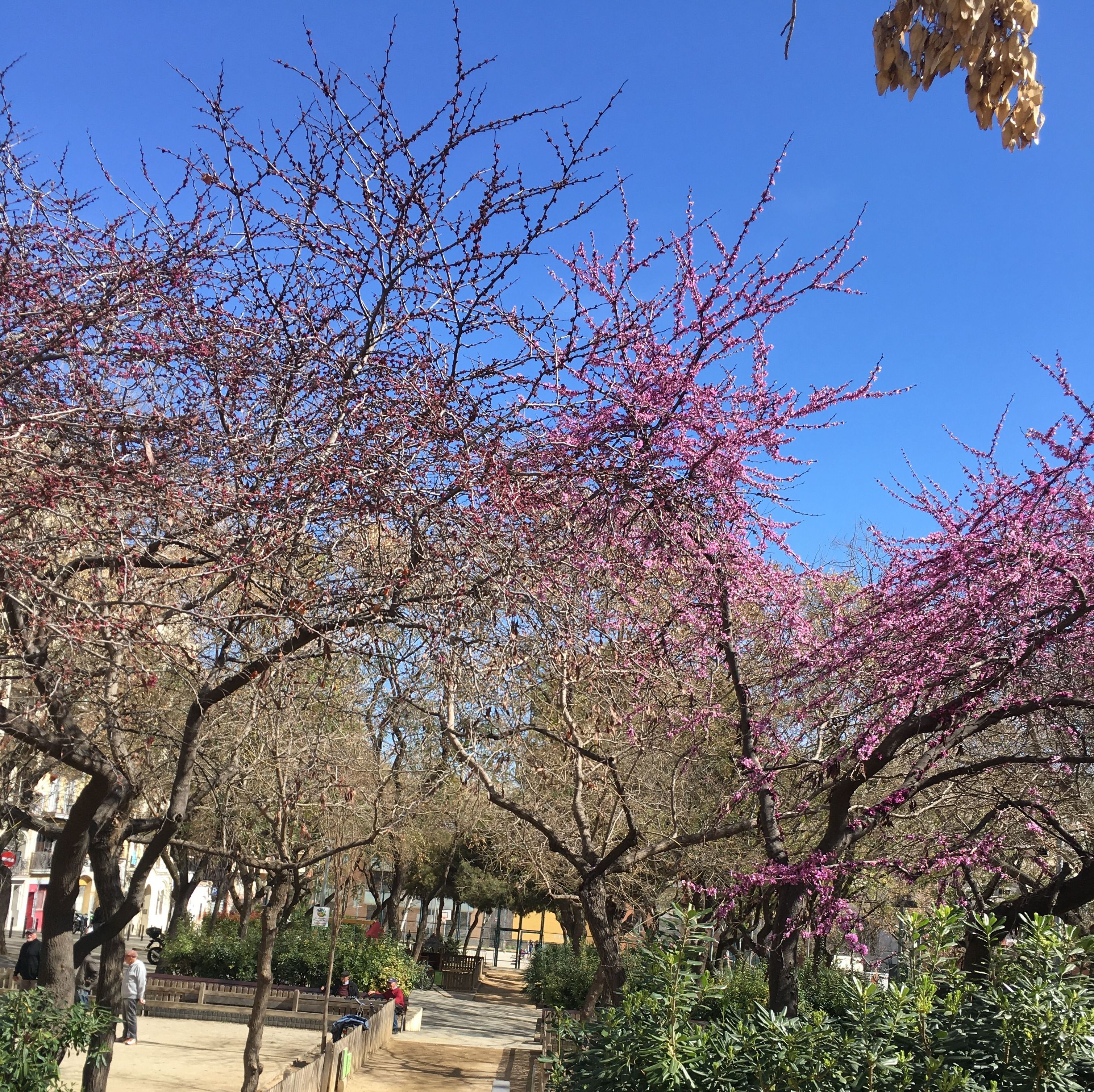 Piso en Venta Sants-La Bordeta: Reformas Inmobiliaria de Lams. Reformas y Servicios Inmobiliarios Piso en Venta Sants-La Bordeta: Reformas Inmobiliaria de Lams. Reformas y Servicios Inmobiliarios