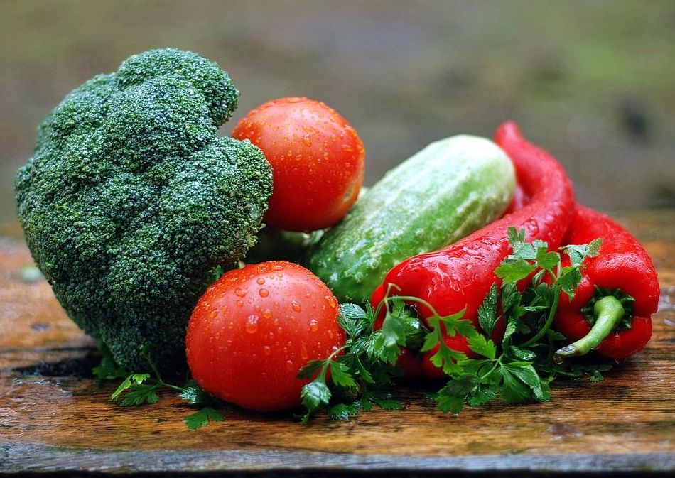 Dietoterapía y Nutrición: Servicios de Biota Natura Dietoterapía y Nutrición: Servicios de Biota Natura