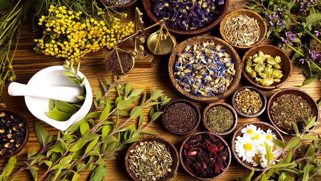 Fitoterapia: Servicios de Biota Natura Fitoterapia: Servicios de Biota Natura