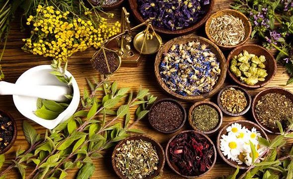 Talleres para el bienestar: Servicios de Biota Natura Talleres para el bienestar: Servicios de Biota Natura