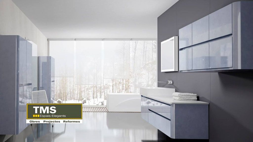 Diseño de baños: Productos y servicios de TMS espacios elegantes Diseño de baños: Productos y servicios de TMS espacios elegantes